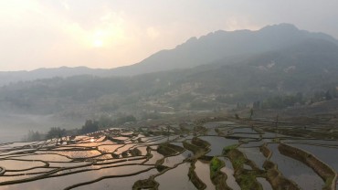 Rizières Yuanyang