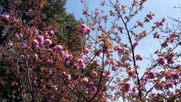 Kyoto, la ville des temples